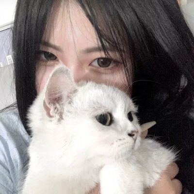 掌门传奇游戏下载