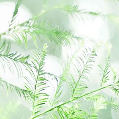 闪烁之光渠道手游客户端下载